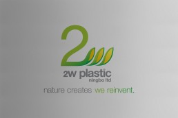 2w Logo Design