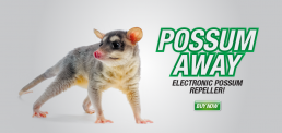 Pestrol Branding Design Possums