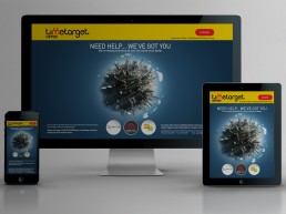 TimeTarget Responsive Support UX Design