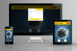 TimeTarget Responsive Support UX Design