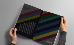 Skillco Brochure Design