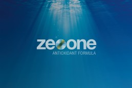 ZeoOne Logo Design