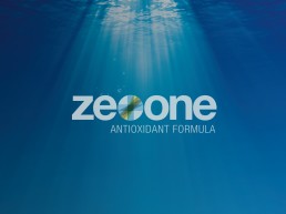 ZeoOne Logo Design